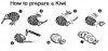 $prepare_kiwi.png