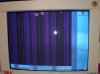 $Foto1901.jpg