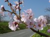 $20110323_115.jpg