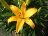 $DSCF70761.jpg