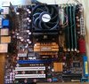 $IMAG0990.jpg