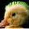 N@vigator
