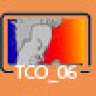 TCO_06