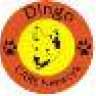 dingo6709