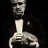 Situs