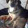 Jack11012004
