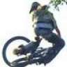 fox-rider