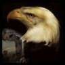 Eagel75