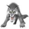 Desierto Lobo