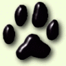 Miezekatze69