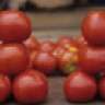 TomatoMuffin