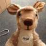 Kangaroo60