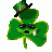 irish-tiger