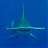 sharkph