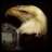 Eagel75