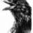 black_bird_1990