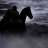Black Rider