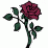 rosebowl